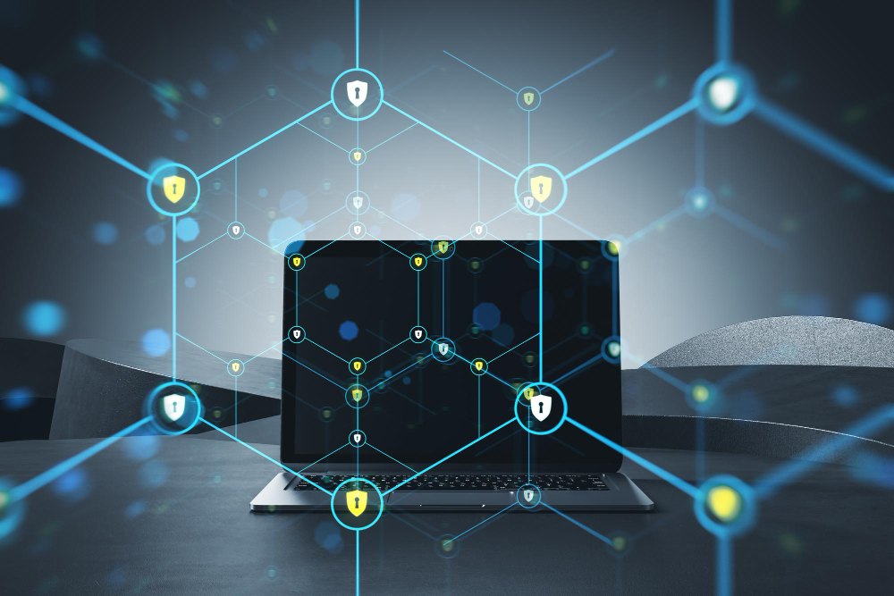 What We Offer Shield