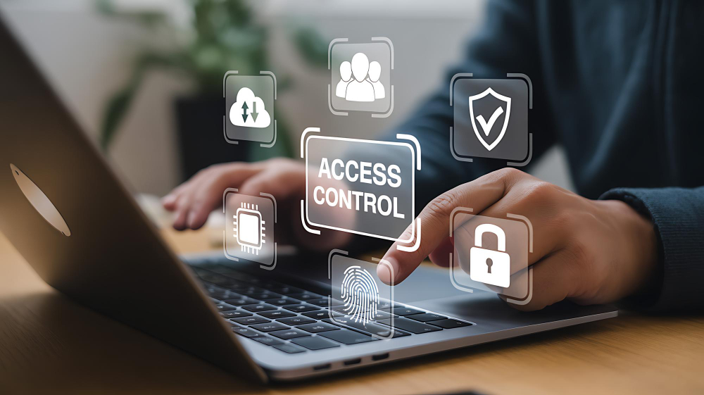What We Offer Shield